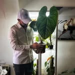 Daniel | Amante de las plantas 🌱y café ☕️ - @arabicaplants - Instagram