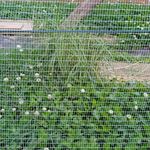 Daniel Amante de la Agricultura - @danielpagricultura - Instagram