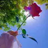 danielamasariego3 - @danielamasariego3 - TikTok