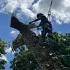 Daniel Hamberg - @danielhamberg2 - TikTok