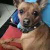 Daniel🍒. - @daniel.ambrosini5 - TikTok