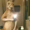 Daniel Ambrosio - @user109910353862 - TikTok