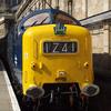 delticman - @danielamesbury - TikTok