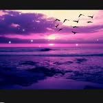 bsbsjab - @danielamickane2010 - Instagram