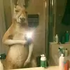 Daniel Amparan - @juanamparan0101 - TikTok