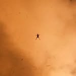 Daniel Åmparán - @ampi____ - Instagram