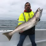 Daniel Amparano - @daniel.amparano - Instagram