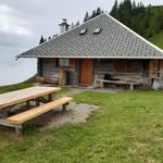 Jehle - @amstaddaniel - Instagram