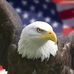 Daniel Amstutz - Facebook