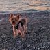 Daniel Amstutz - Facebook
