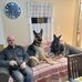 Daniel Amyot - Facebook
