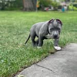 Daniel Anang - @onepeople419 - Instagram