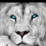 Cesar Daniel Andalon Hernández - @cesardanielandalonhernandez - Instagram