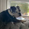 Daniel Anderton - @daniel.anderton8 - TikTok