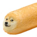 Dog - @danielandisaacfce - Instagram