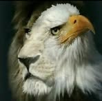 Daniel Ando - Facebook