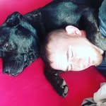 Daniel A Andreasen - @andreasen.daniel - Instagram