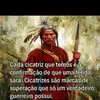 danielandreola - @danielandreola - TikTok