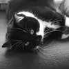 Julie Daniel Dit Andrieu - @julie.daniel.dit - TikTok