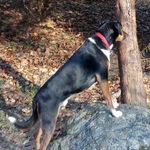 Daniel Andrukonis - @beltwayjustice - Instagram