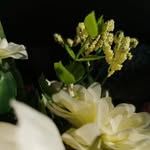 Daniel Andry - @daniel.andry.94 - Instagram