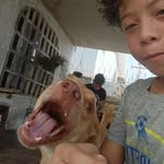 Daniel Añez - @danielanez2012 - Instagram
