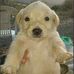 Daniel Anglin - Facebook