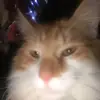 danielanglin1 - @danielanglin1 - TikTok