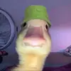 daniel - @danielangulo861 - TikTok