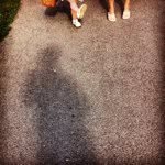 Daniel Angyal - @danielangyal - Instagram