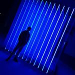 Daniel Anhalt - @anhaltdaniel - Instagram