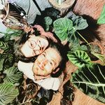 🌴 Daniel & Anna - @pflanzenrebellen - Instagram