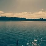 Daniel Ansaldi - @daniel.ansaldi - Instagram