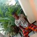 Daniel Ayensu - Facebook