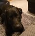 Daniel Ansell - Facebook