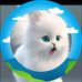 Daniel Anslem - Facebook