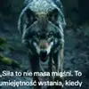 Daniel - @danielantczak4 - TikTok