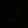 Daniel Antenor - @dniel_antenor - TikTok