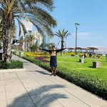 Daniel Omar Mendoza Anticoi - @danielanticoi - Instagram