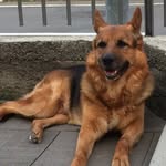 Daniel_antonini - @daniel_antonini8 - Instagram