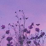 @danielantonucci_ - Instagram
