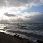 Daniel Aoki - @daniel.aoki.5 - Instagram