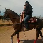 Daniel Apodaca - @apodaca.daniel - Instagram