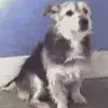 daniel appleby - @danielapplerby - TikTok