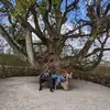 Daniel Appleby - @daniel.appleby - TikTok