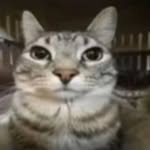 Daniel Araoz - @daniel_araoz09 - Instagram