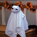 Daniel Araya - @uap.gif - Instagram