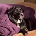Daniel Arbaugh - Facebook