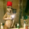 Daniel Arbelaez - @danielarbelaez1 - TikTok