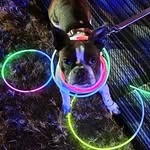 Daniel Arcand - @daniel.arcand.520 - Instagram
